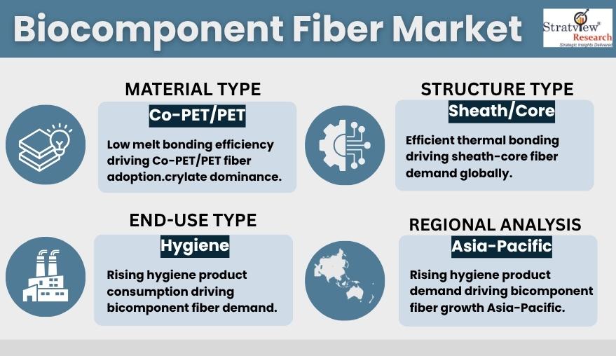 Biocomponent Fiber Market segments